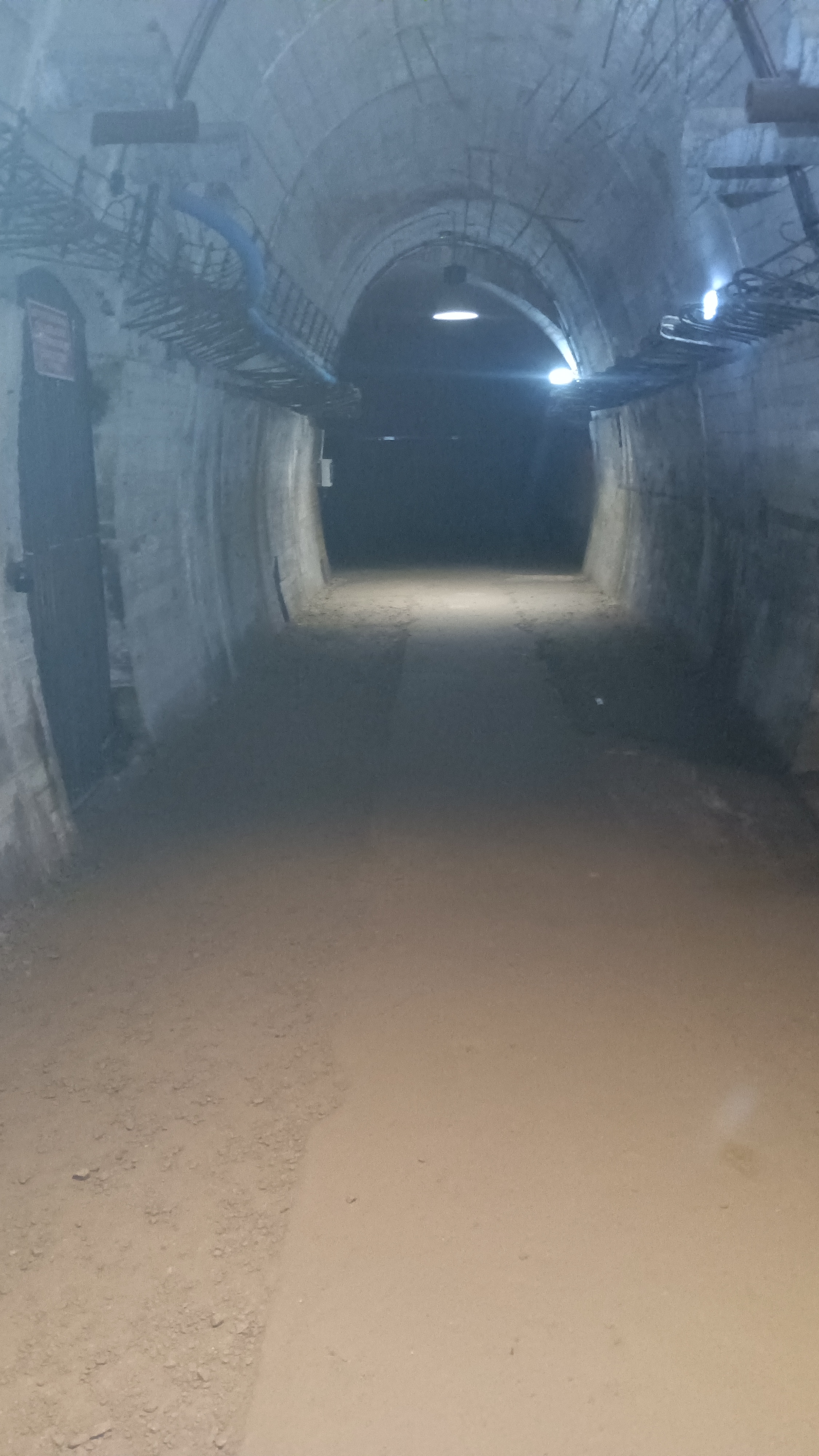 IMG_20230813_100237_656